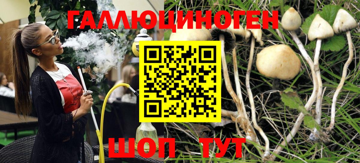 Уссурийск  Галлюциногенные грибы Cubensis  Вход с VPN 