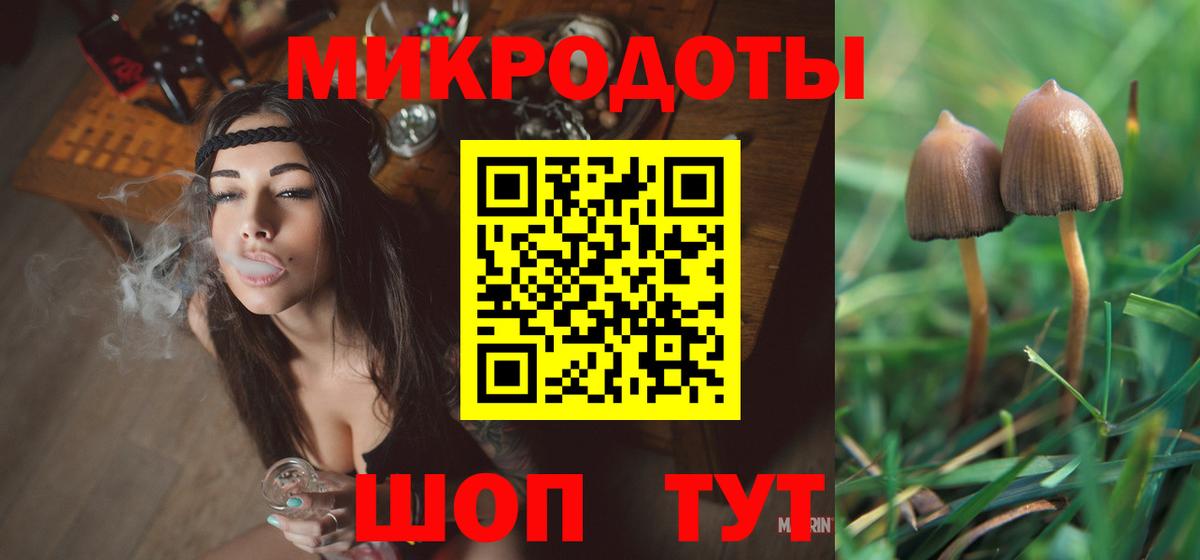 Галлюциногенные грибы Psilocybe Уссурийск